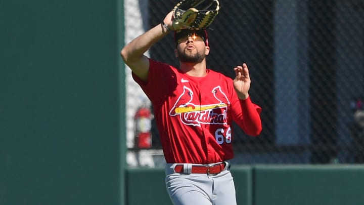 St. Louis Cardinals Fantasy Superlatives: Paul DeJong Breakout Alert! Plus Sleepers, Value and Comeback Picks St. Louis Cardinals Fantasy Superlatives: Paul DeJong Breakout Alert! Plus Sleepers, Value and Comeback Picks