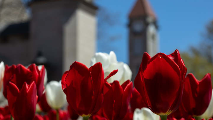 Glass: Indiana Will Honor Scholarships, Even if Athletes Don't Want to Compete Because of COVID-19 Glass: Indiana Will Honor Scholarships, Even if Athletes Don't Want to Compete Because of COVID-19