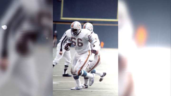 Number 66 and the Three Dolphins Who Wore It Best