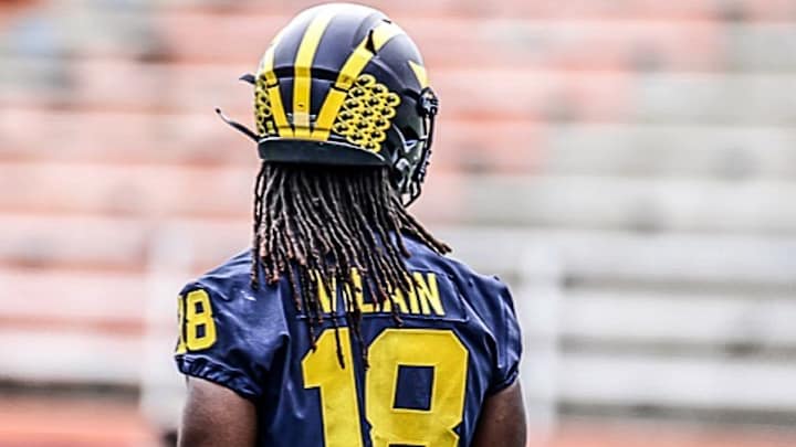 Stellar, Standard & Subpar: Luiji Vilain In 2020 Stellar, Standard & Subpar: Luiji Vilain In 2020