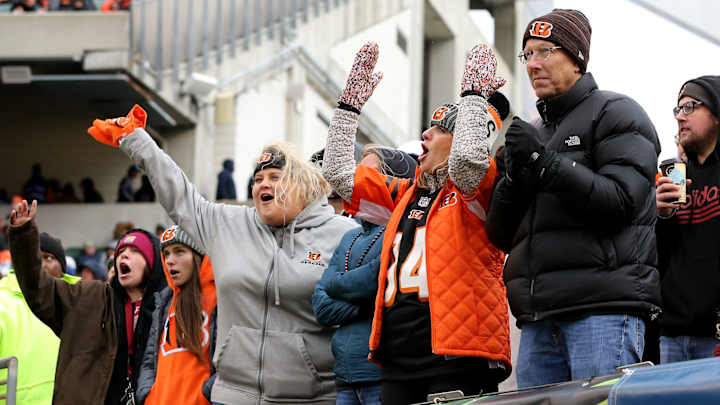 Bengals Fans 'Will Get Something They've Never Seen Before' This September