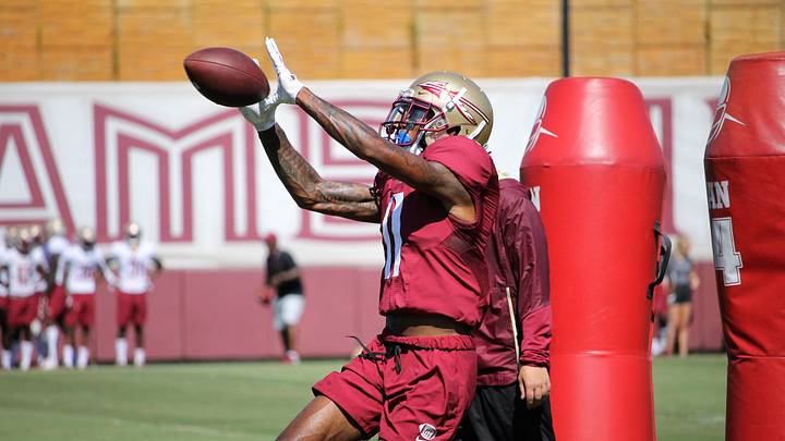 Arkansas Razorbacks place former 'Nole on scholarship