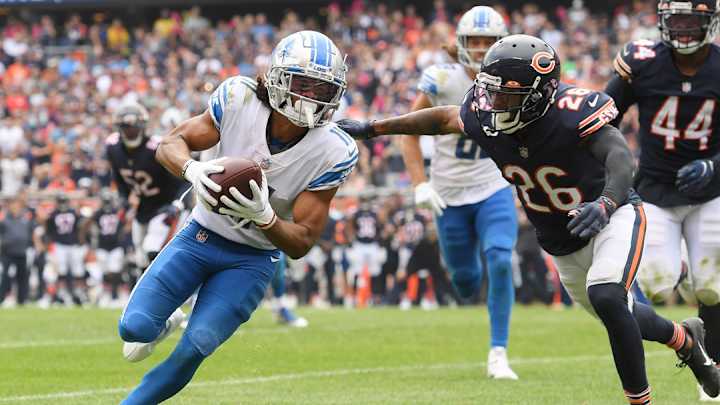 Tickets Available to Witness Lions Battle Bears Tickets Available to Witness Lions Battle Bears