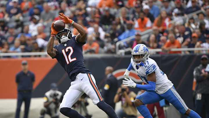 Developing a Bears Connection Developing a Bears Connection