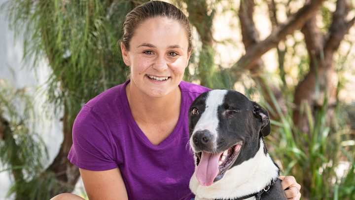 ‘Our House Is Run by Dogs’: How Rescue Pups Play an Essential Role for Many Athletes ‘Our House Is Run by Dogs’: How Rescue Pups Play an Essential Role for Many Athletes