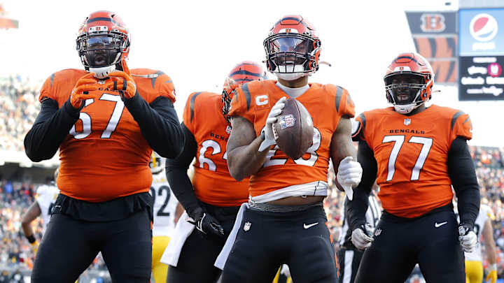 Mountaineers in the NFL Playoffs