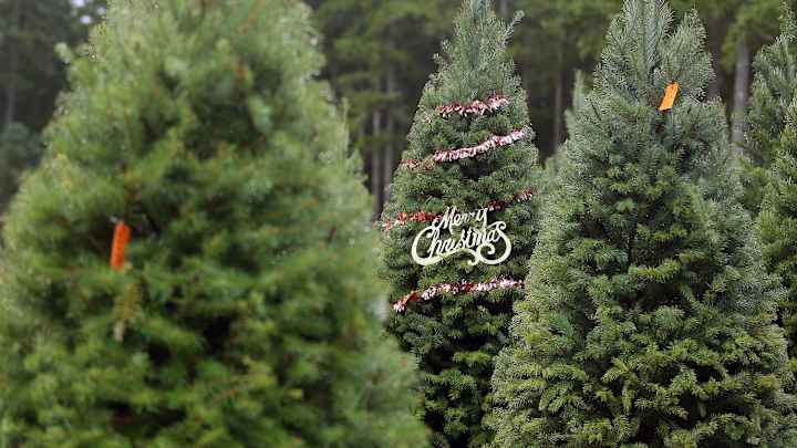 Merry Christmas From All Sun Devils!