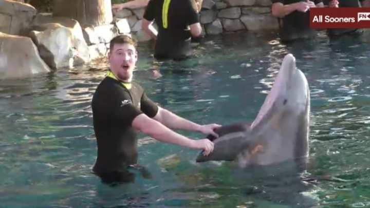 WATCH: Oklahoma Players Visit SeaWorld, Swim With Dolphins