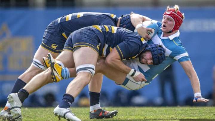 Cal Rugby Tops UCLA to Win Dennis Storer Classic