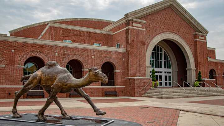 Rowser Flips on Arkansas to Go to a 'Place'