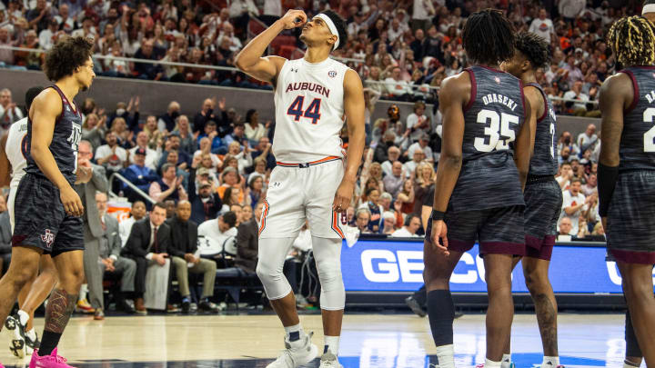 Auburn basketball player preview series: Dylan Cardwell