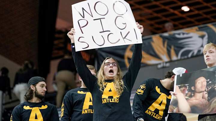 Random Observations: Missouri