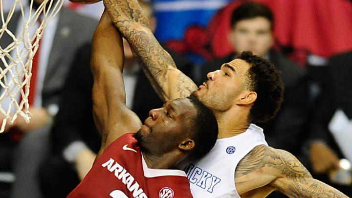 Best Cat Fights Hogs Have Ever Had