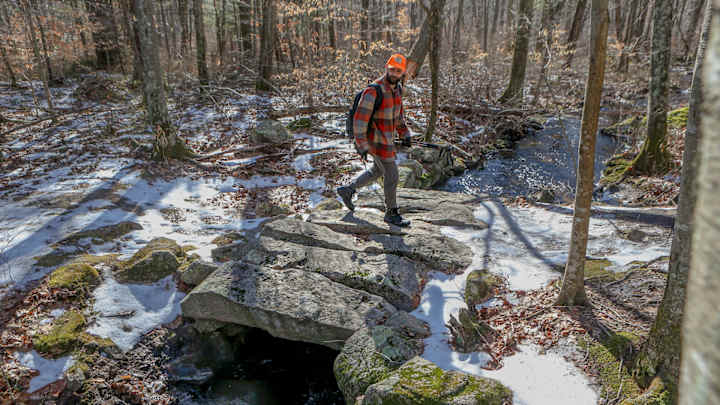 Player Ratings to the Theme of Back to Back Player Ratings to the Theme of Back to Back