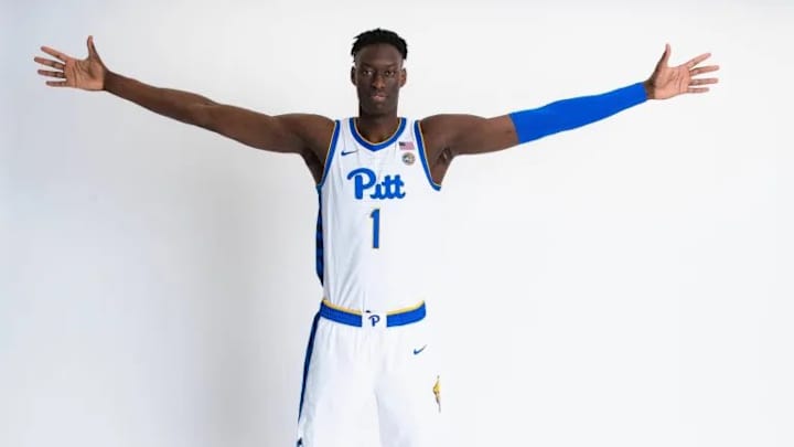 Pitt Basketball Grabs Third Transfer