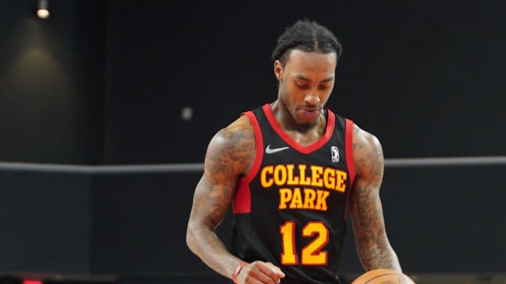 Cat enjoys flying with Hawks