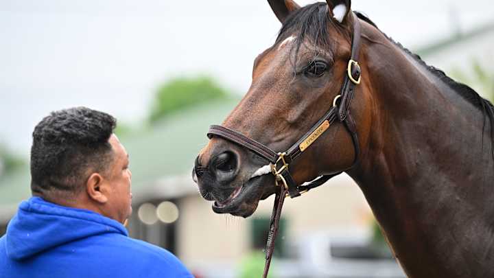 If You Gamble on Sports, You Must Place a Wager on the Kentucky Derby
