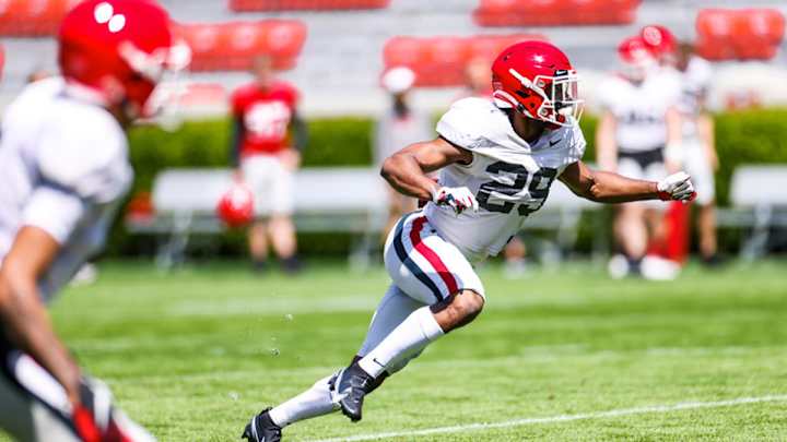 Lesser Known, but Crucial Players for UGA 2021 Lesser Known, but Crucial Players for UGA 2021