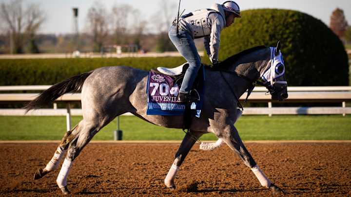 2021 Kentucky Derby: Early Betting Profiles & Analysis