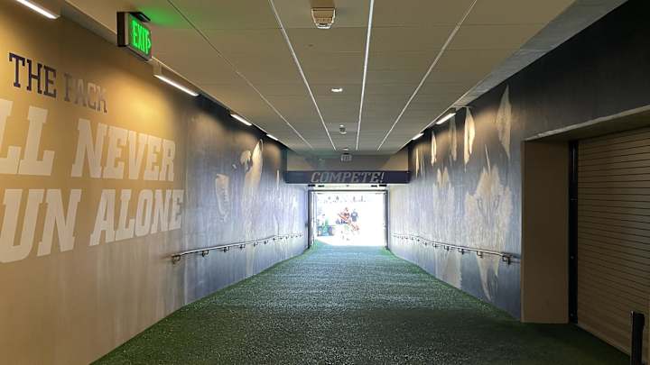 Better Than Anyone Thought, 3 Huskies to Look for on a Rainy Day