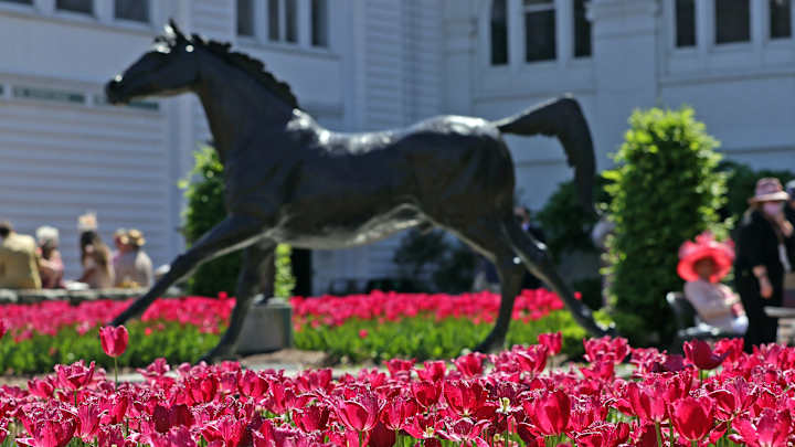 How to Bet the Kentucky Derby: Finding the Best Value for a Bigger Pay Day