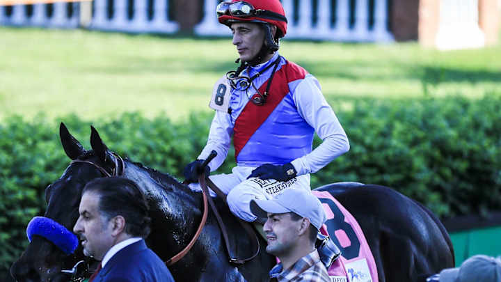 Betting the 2021 Preakness Stakes: Post Positions, Odds and Profiles for Every Horse