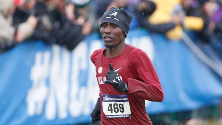 Alabama Track and Field Qualifies Seven More Men for NCAA Championship Finals Alabama Track and Field Qualifies Seven More Men for NCAA Championship Finals