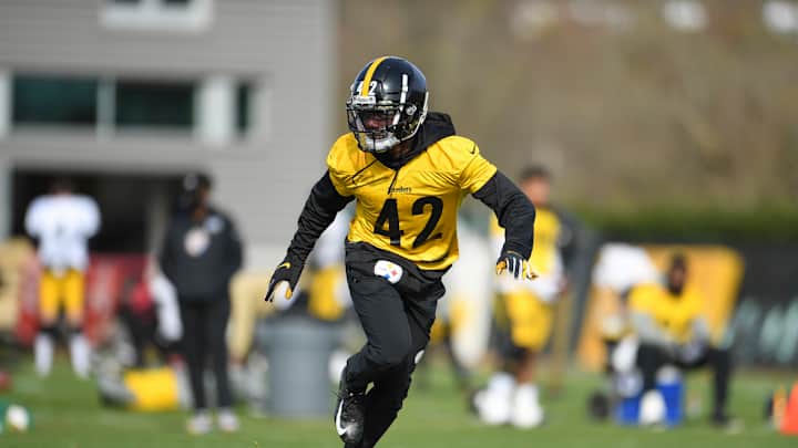 Steelers Have High Hopes for CB James Pierre