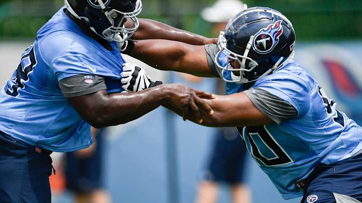 Detroit Lions Claim DT Bruce Hector Off Waivers