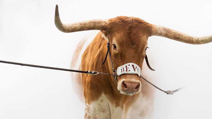 Texas Football Traditions Stand as Tall as a Tower