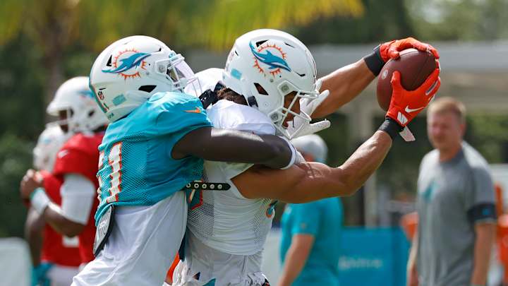 Taking Stock of the Dolphins Camp Progress