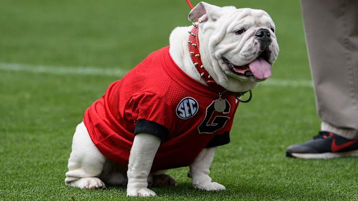 Georgia Ranked as Biggest Underachiever by ESPN