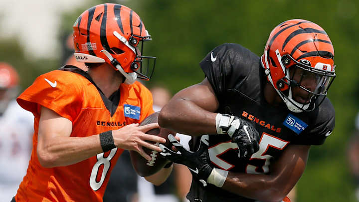 Players to Watch in the Bengals' Regular Season Finale Against the Browns Players to Watch in the Bengals' Regular Season Finale Against the Browns