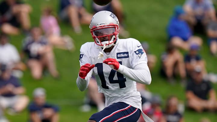 Report: Patriots release TE Wells, WR Hall and LB/TE Berry