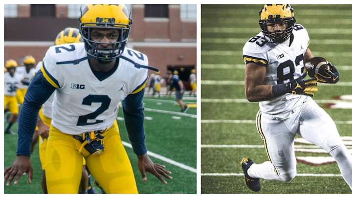 Look Good, Feel Good, Play Good