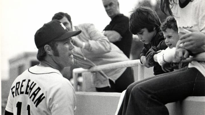 Bill Freehan, Catcher on 1968 Champion Tigers, Dies at 79 Bill Freehan, Catcher on 1968 Champion Tigers, Dies at 79