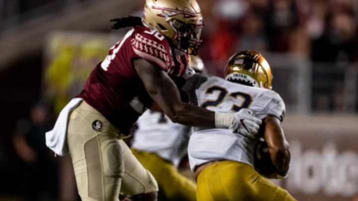 Young defensive pieces could pay huge dividends for FSU