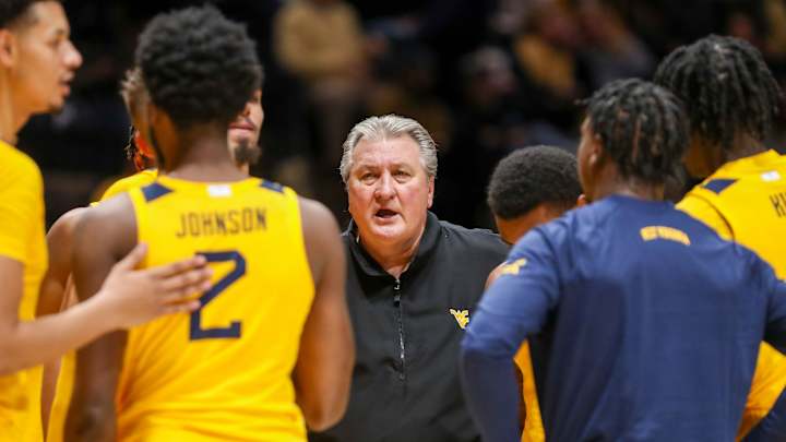 Mountaineers Pummel Gators