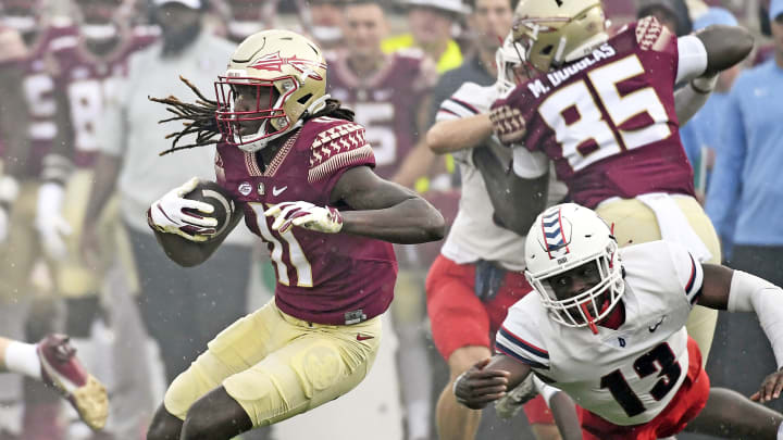 Florida State defensive back officially enters Transfer Portal