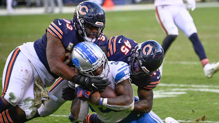 Tickets Available to Witness Lions Battle Bears