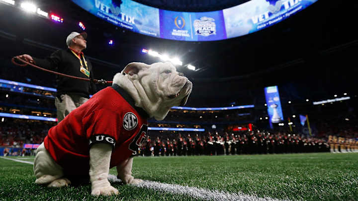 PETA Calls for Georgia President ‘to Be a Peach’ And Retire Mascot Uga PETA Calls for Georgia President ‘to Be a Peach’ And Retire Mascot Uga
