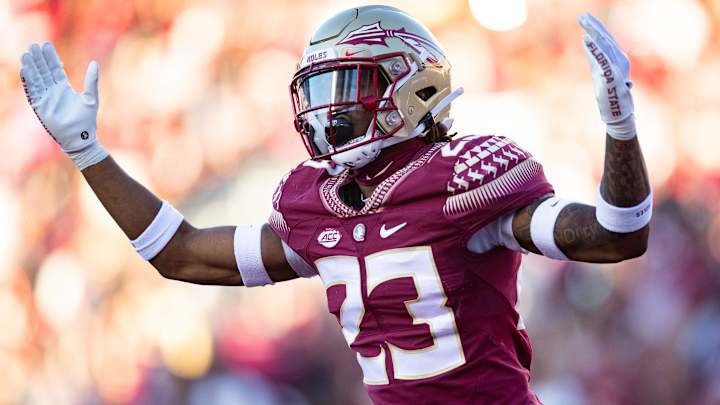 Former Florida State defensive back lands with SEC program