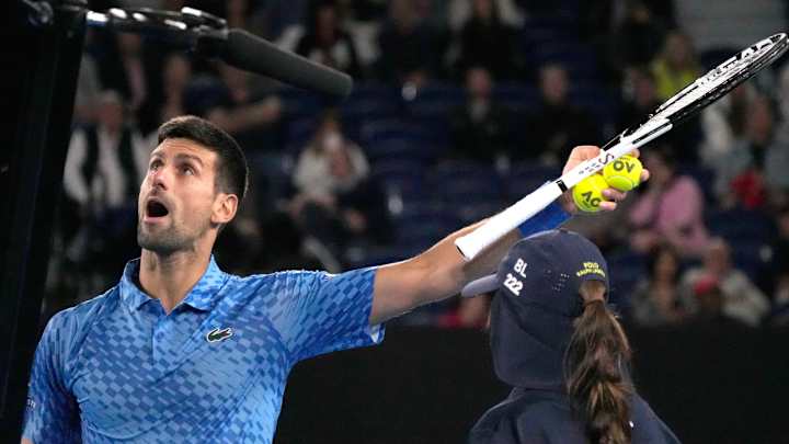 Djokovic Pleads With Umpire to Have Heckling Fan Removed (Video)