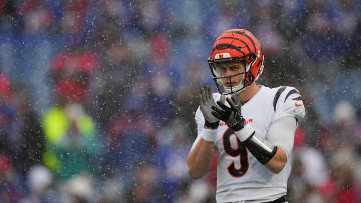 ESPN Analyst Dan Orlovsky: 'Joe Burrow's The Best Quarterback In Football'