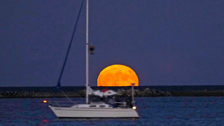 Player Ratings to the Theme of Boats