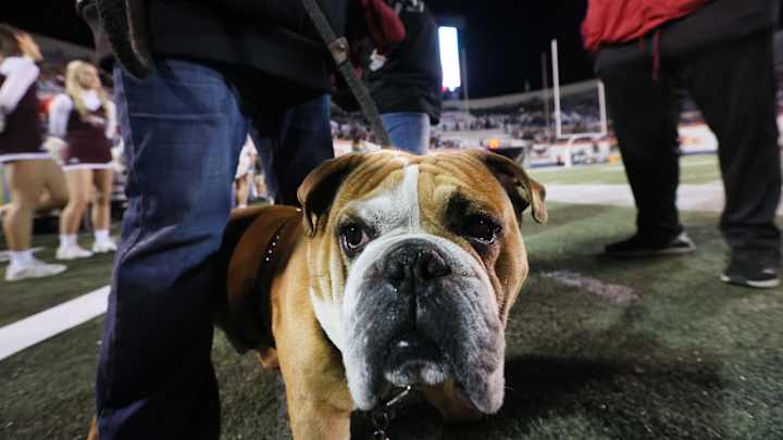 Detailing Mississippi State Football's New Offense Under OC Kevin Barbay Detailing Mississippi State Football's New Offense Under OC Kevin Barbay