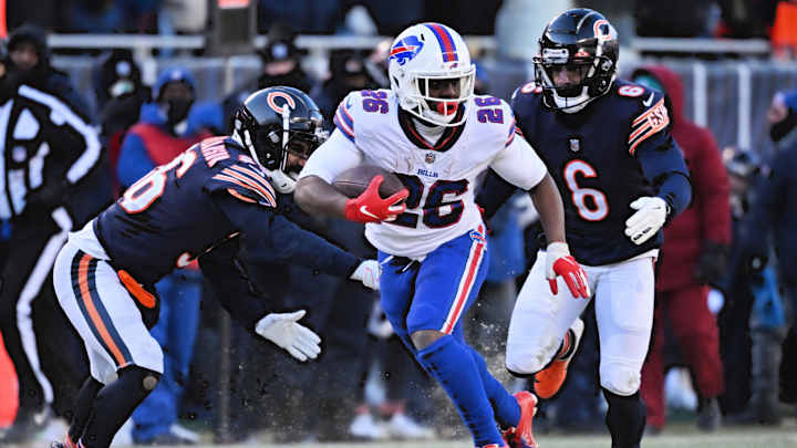 Different Type of Back as Bears Alternative