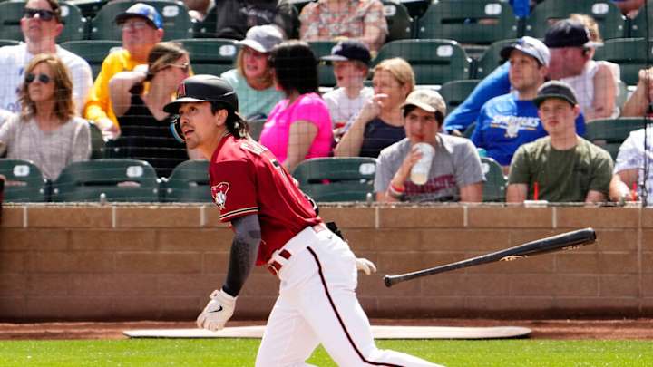 What Do Diamondbacks Spring Hitting Stats Mean?