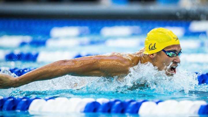 Cal Men's Swimming: Golden Bears Win 2nd Straight NCAA Title - 8th Crown Overall Cal Men's Swimming: Golden Bears Win 2nd Straight NCAA Title - 8th Crown Overall