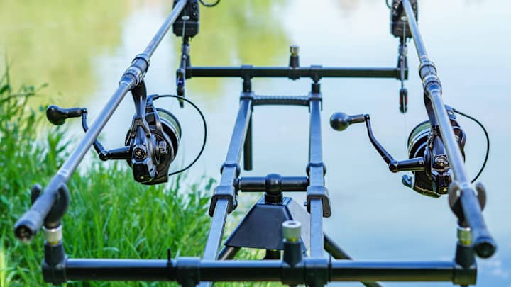 Fishermen Accused of Stuffing Fish With Weights at Tournament Plead Guilty